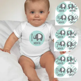 Baby Custom Monthly Onesies - Elephants Blue