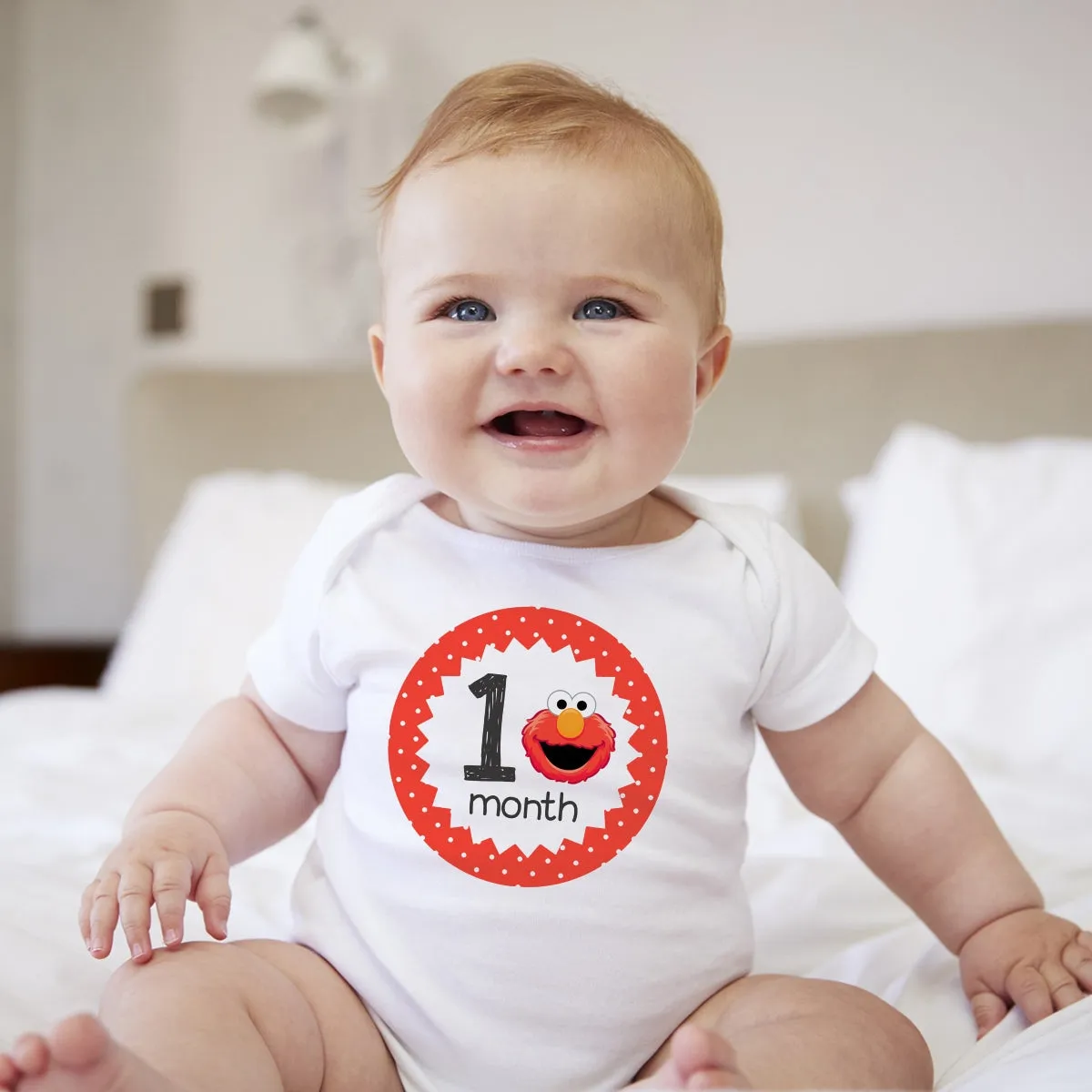 Baby Custom Monthly Onesies - Sesame Street
