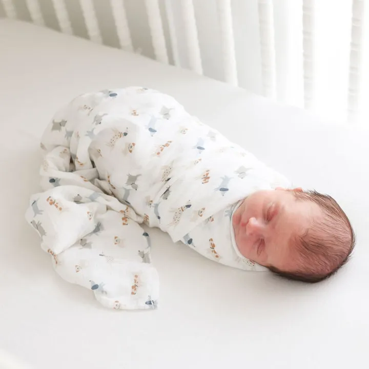 Cotton Swaddle 2 Pack - Puppy Dog & Stars