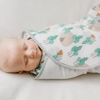 Nest Designs Bamboo Swaddle Sleep Bag 2.5 TOG - Where's The Bear