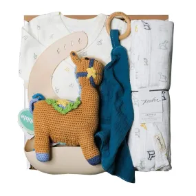 Rock-N-Horse Gift Box